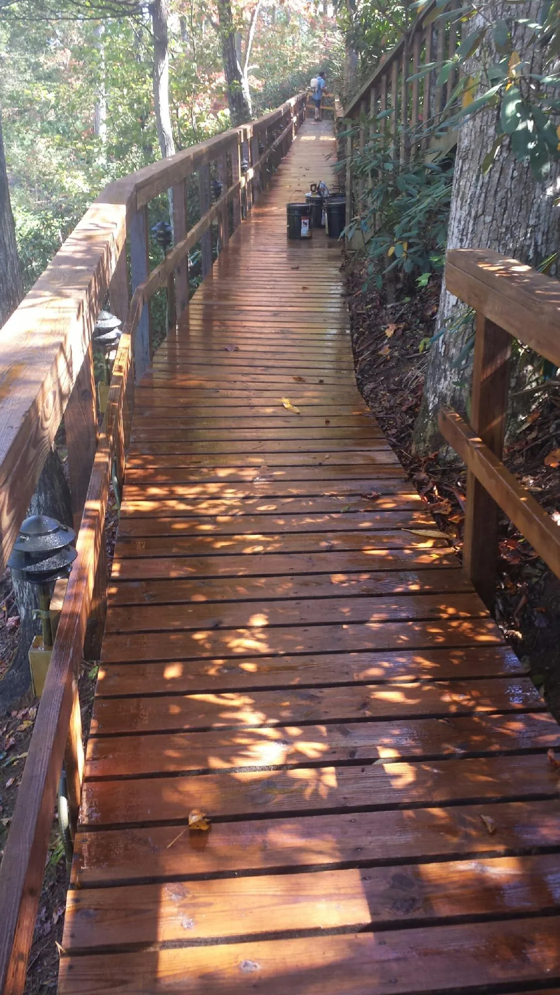 Freshly stained wood walkway winding through the woods in Harris